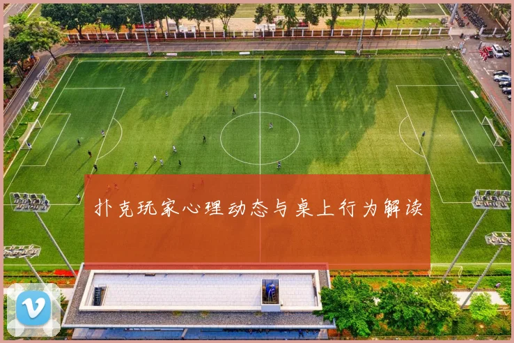 扑克玩家心理动态与桌上行为解读