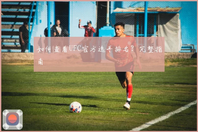 如何查看UFC官方选手排名?完整指南