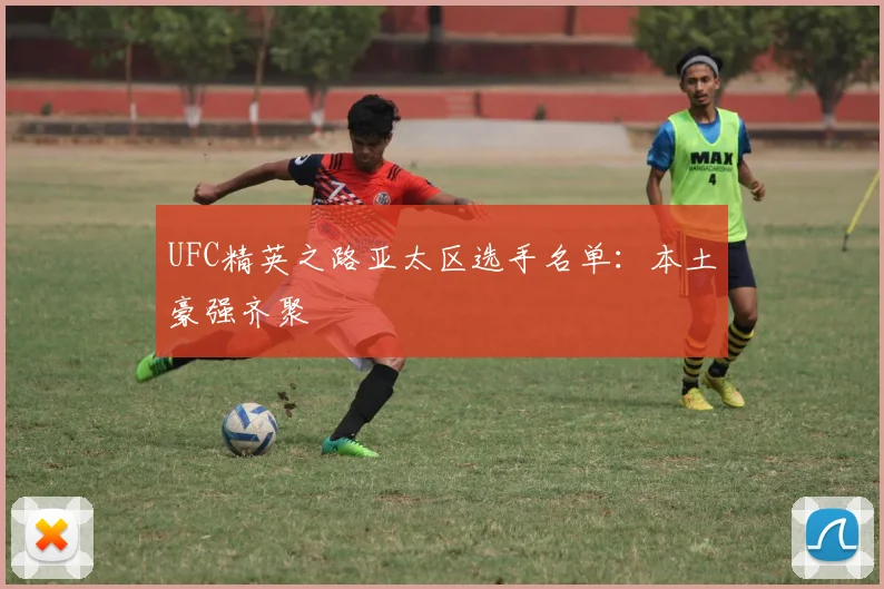 UFC精英之路亚太区选手名单:本土豪强齐聚