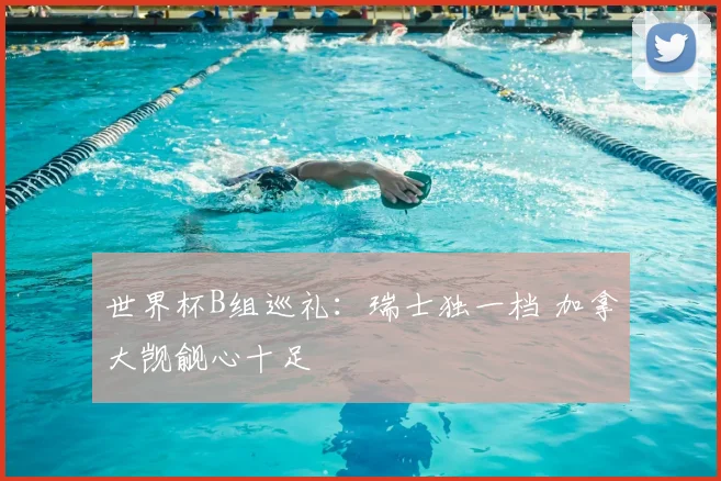 世界杯B组巡礼:瑞士独一档 加拿大觊觎心十足