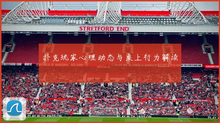 扑克玩家心理动态与桌上行为解读