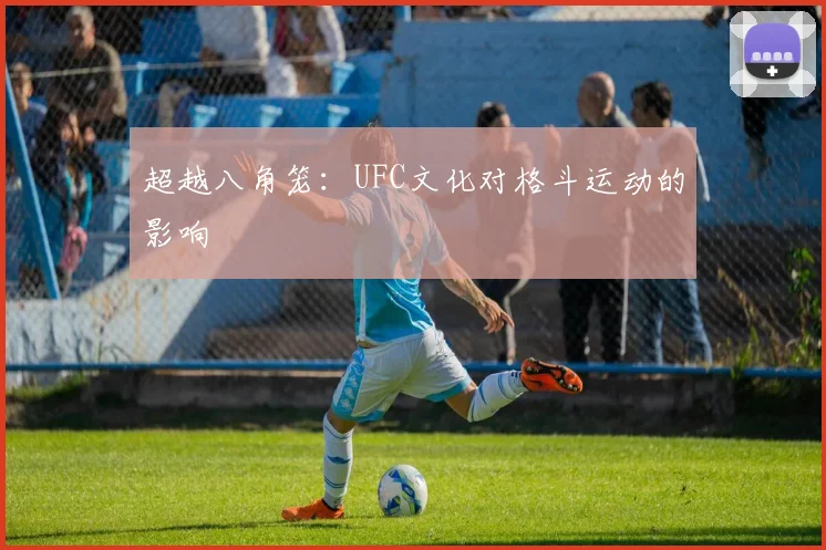 超越八角笼:UFC文化对格斗运动的影响