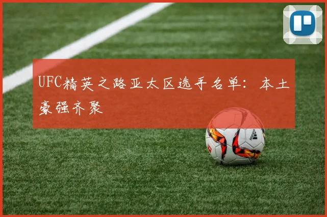 UFC精英之路亚太区选手名单:本土豪强齐聚