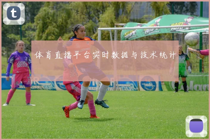 体育直播平台实时数据与技术统计